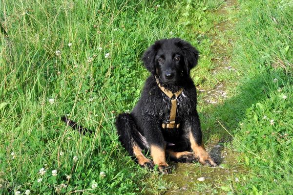 nach dem Baden muss ich mal ein bißchen nachdenken